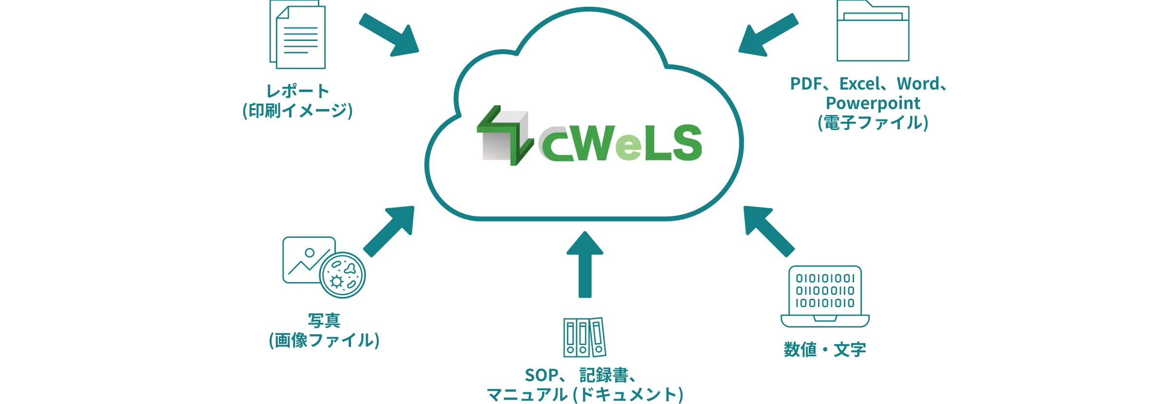 多種多様な業務に関するデータの一元管理による業務効率の向上