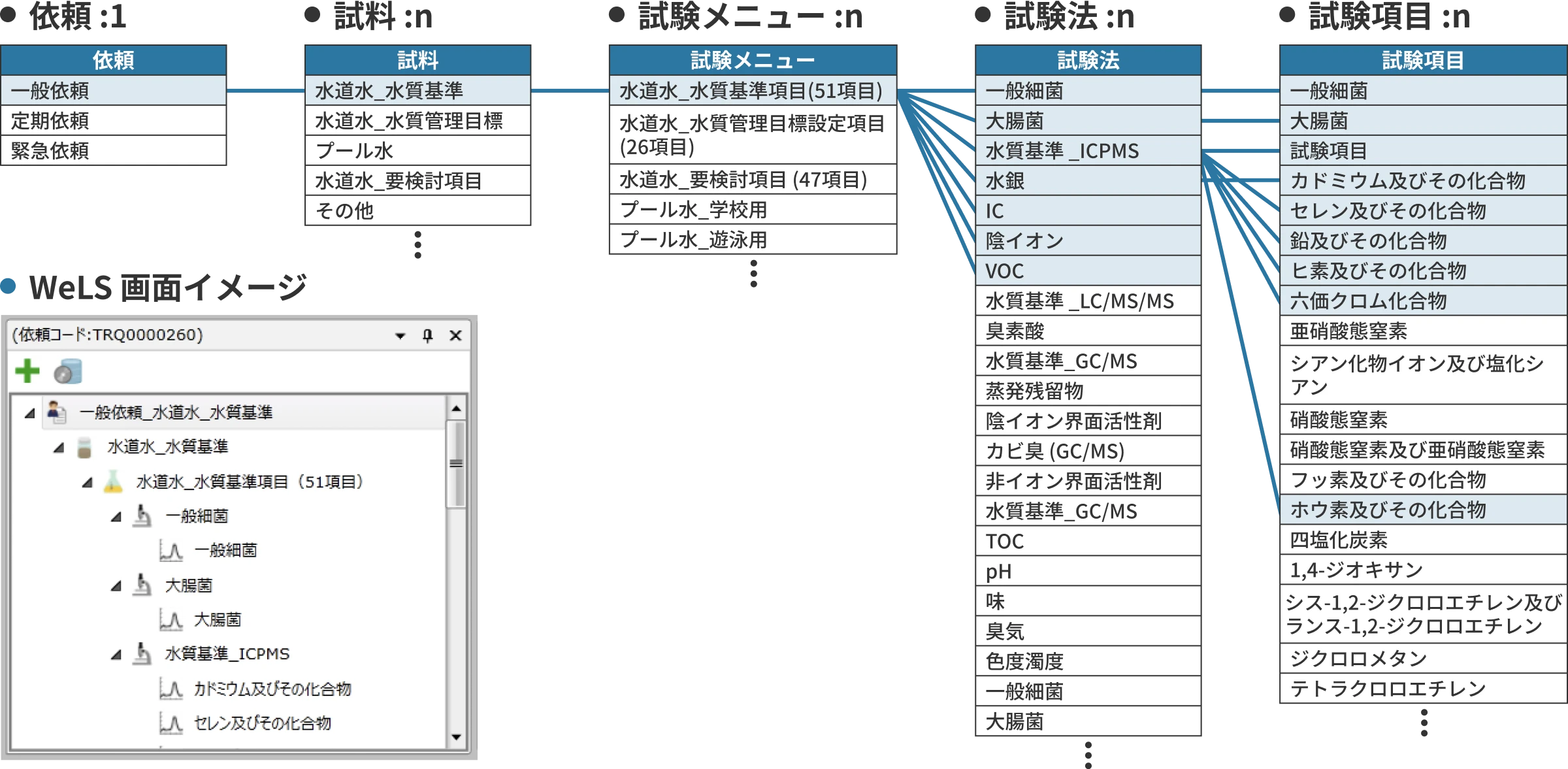 業務実態を考慮したデータ階層・項目